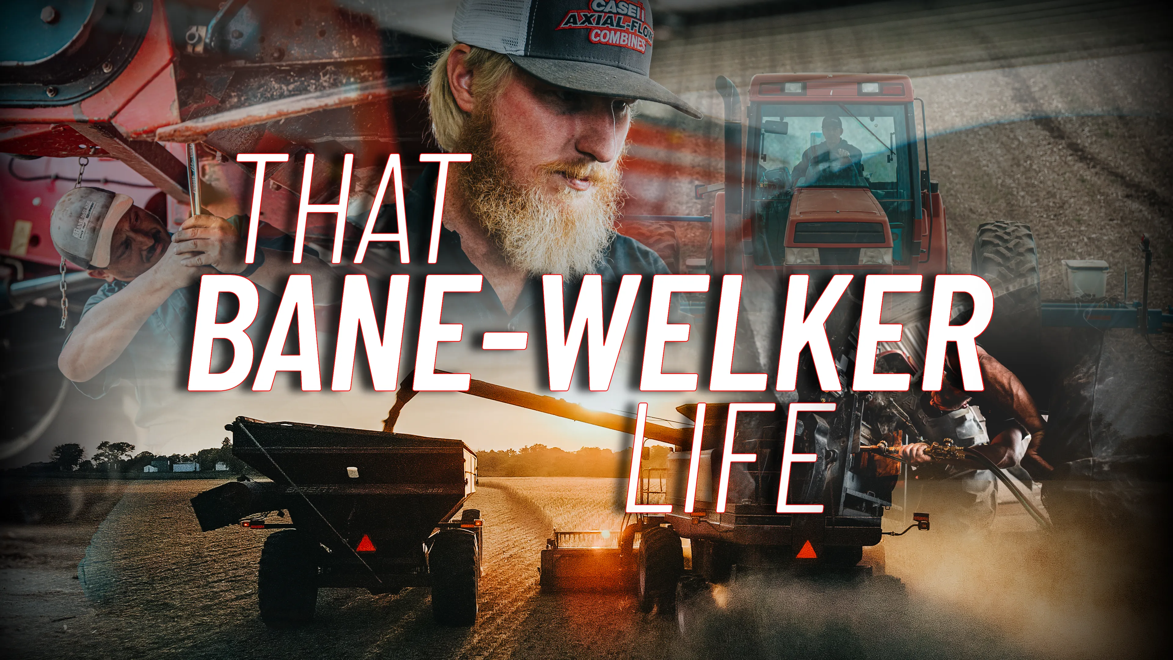 That Bane-Welker Life poster